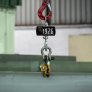 pce-instruments-crane-scale-pce (6)