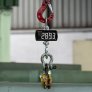 pce-instruments-crane-scale-pce (5)